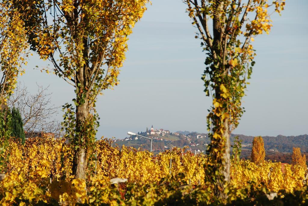 Winzerhof Familie Kloeckl Apartment Kloch Bagian luar foto