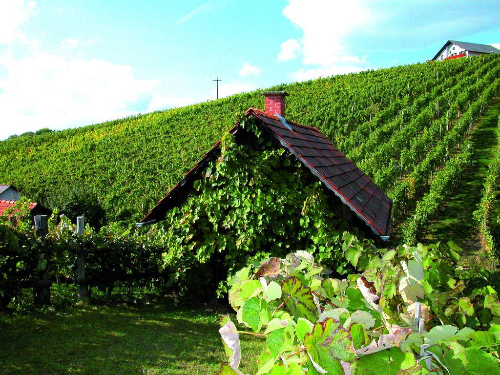 Winzerhof Familie Kloeckl Apartment Kloch Bagian luar foto